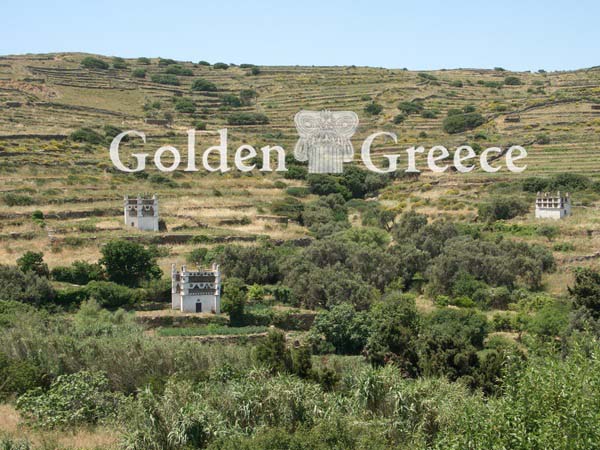 ΠΕΡΙΣΤΕΡΩΝΕΣ | Τήνος | Κυκλάδες | Golden Greece