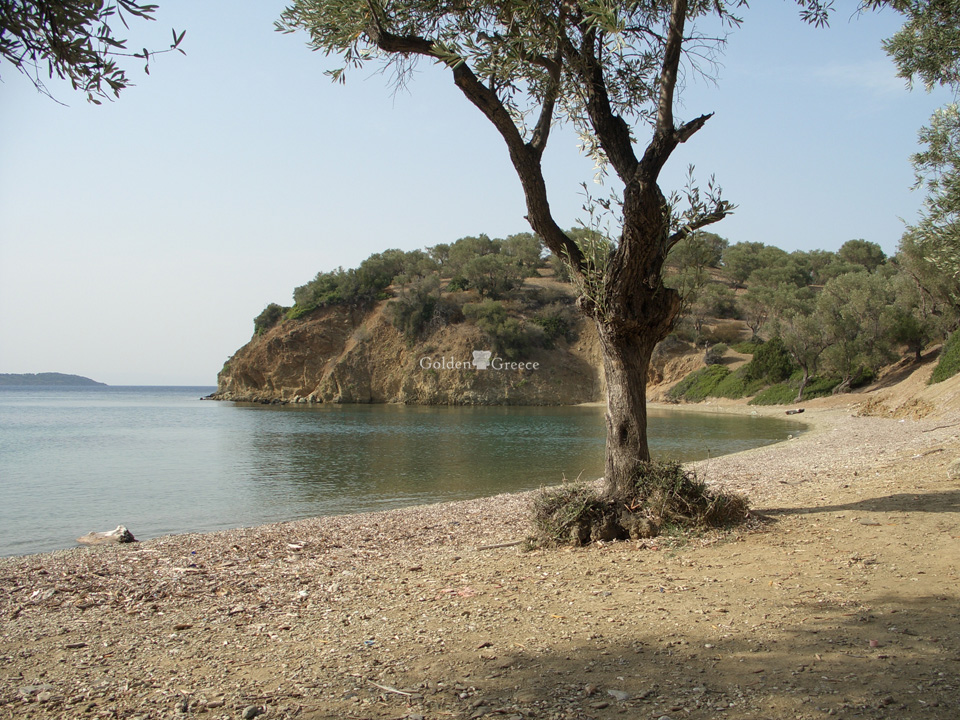 Τρίκερι (Trikeri) | Το άγνωστο νησί της μακαριότητας | Σποράδες | Golden Greece