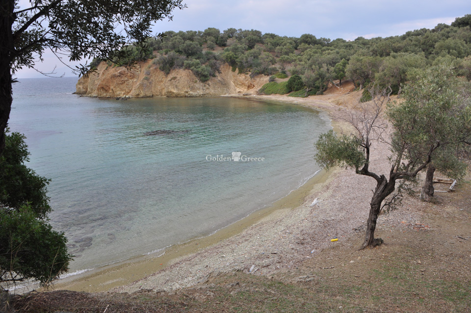 Trikeri | The unknown island of bliss | Sporades | Golden Greece